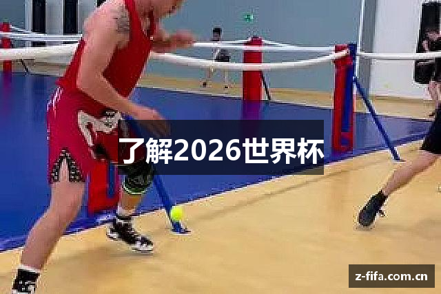 了解2026世界杯